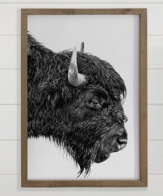 Bison Portrait - Framed