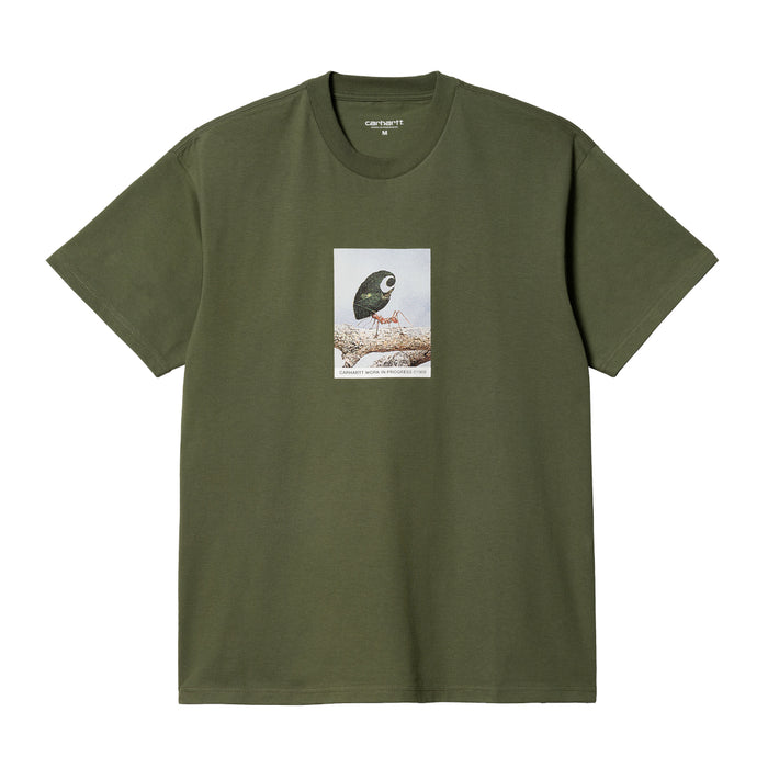 Carhartt WIP Antleaf T-Shirt Dollar Green