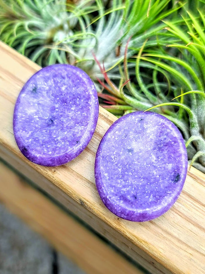 Lepidolite Crystal Worry Stone Carving