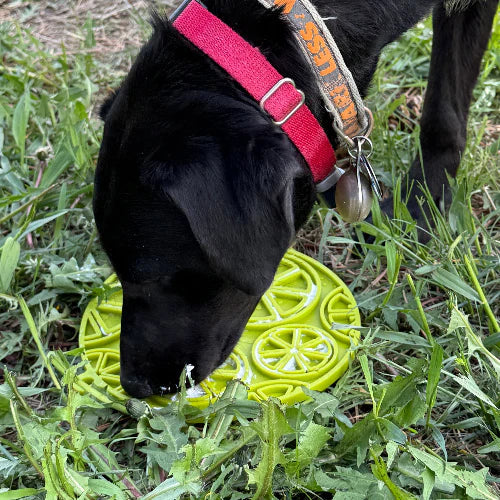 Lick Mat | Citrus