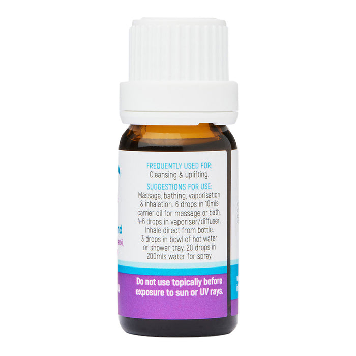Dolphin Clinic Oranges and Lemons â Essential Oil Blend_2
