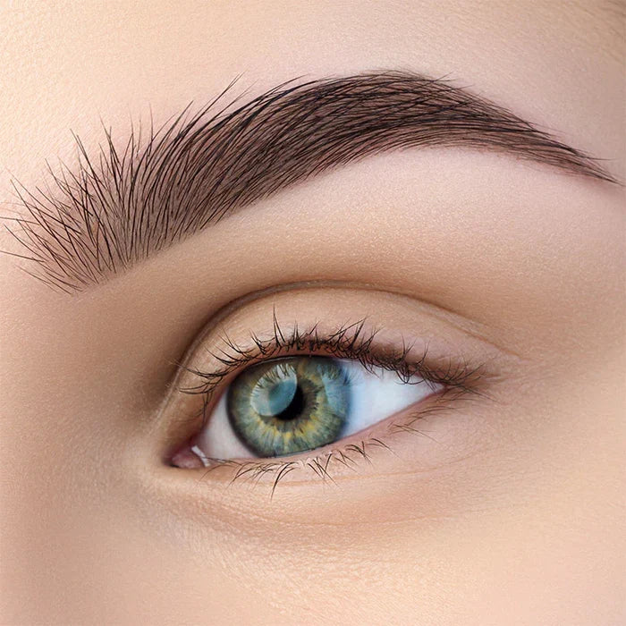 Refectocil Brow Artist Masterclass | One-on-one