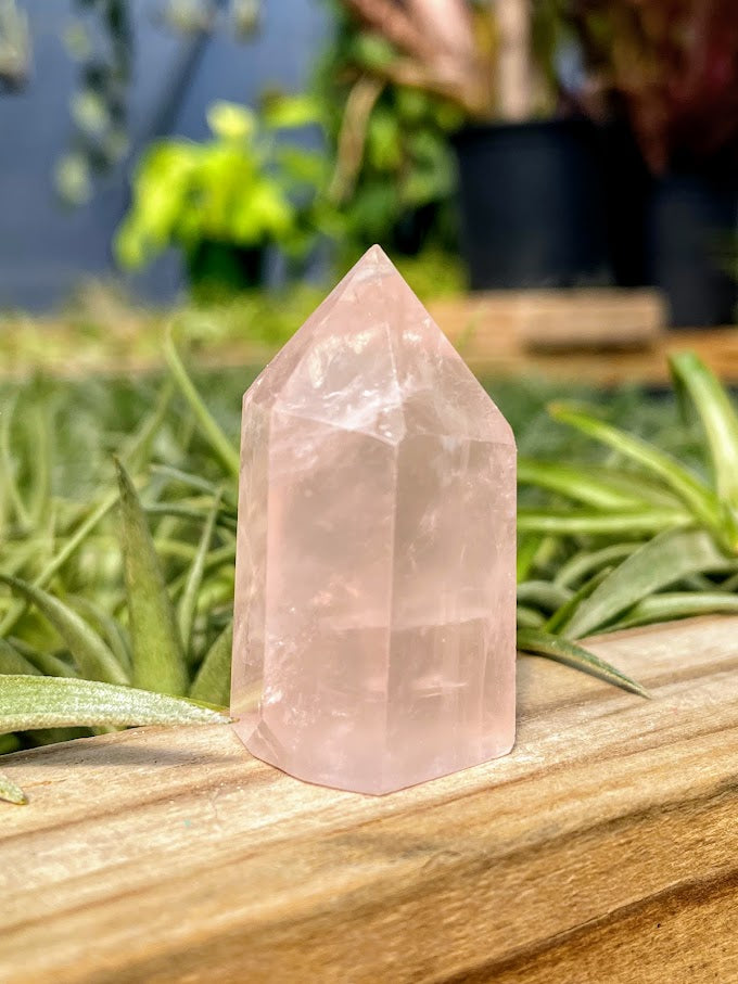 Rose Quartz Crystal Point