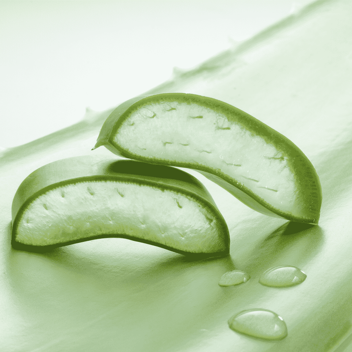 Close-up of fresh aloe vera slices with gel and water droplets on a smooth surface, symbolizing natural ingredients for Skin Brightening Serum | Privai skincare product.