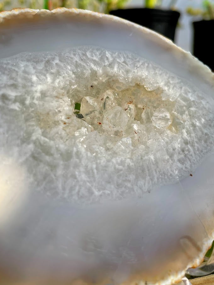 WYSIWYG- Druzy Agate Slab