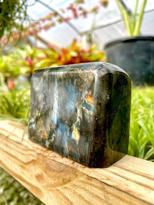WYSIWYG- Labradorite Freeform