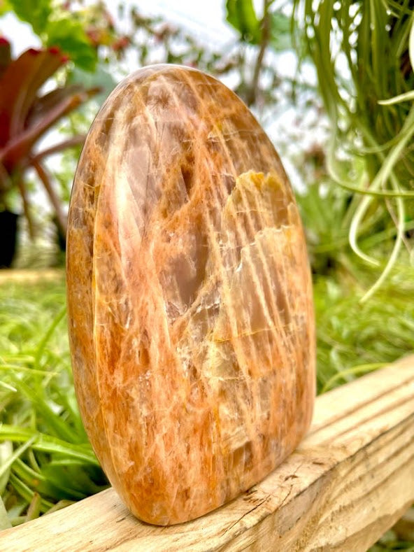 WYSIWYG- Peach Moonstone Freeform