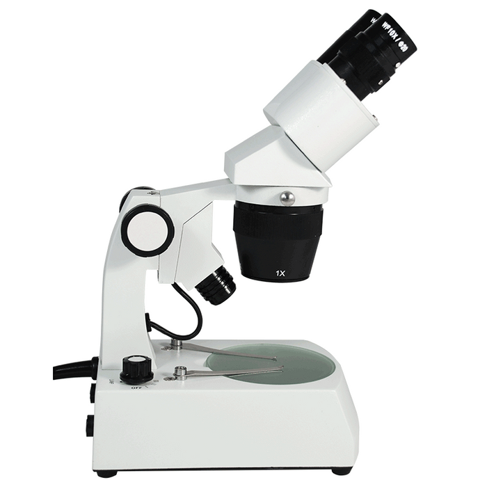 10X/30X Widefield Stereo Microscope, Binocular, Track Stand, Halogen Top and Bottom Light, Bright Field