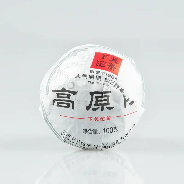 2014 XiaGuan "Gao Yuan Chen" (High Land Aged Tea) Tuo 100g Puerh Sheng Cha Raw Tea - King Tea Mall