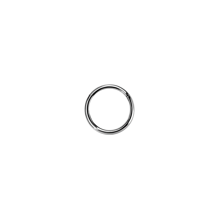 20g Silver Surgical Steel Hinged Ring 7mm / Surgical Steel / Silver Hinged Ring