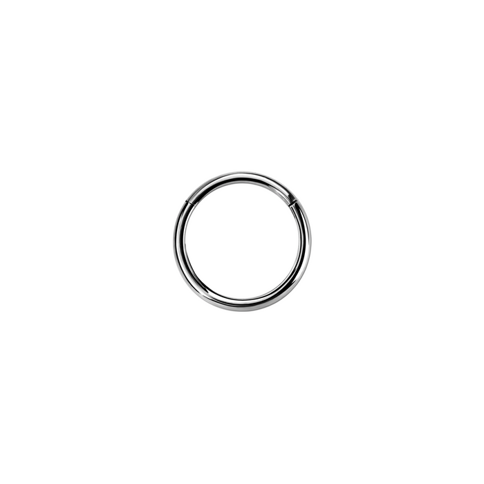 20g Silver Surgical Steel Hinged Ring 8mm / Surgical Steel / Silver Hinged Ring