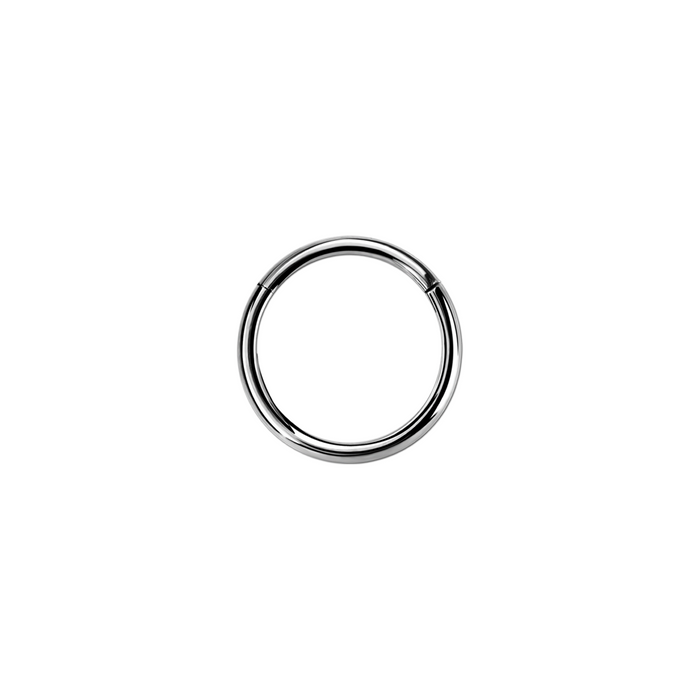 20g Silver Surgical Steel Hinged Ring 9mm / Surgical Steel / Silver Hinged Ring