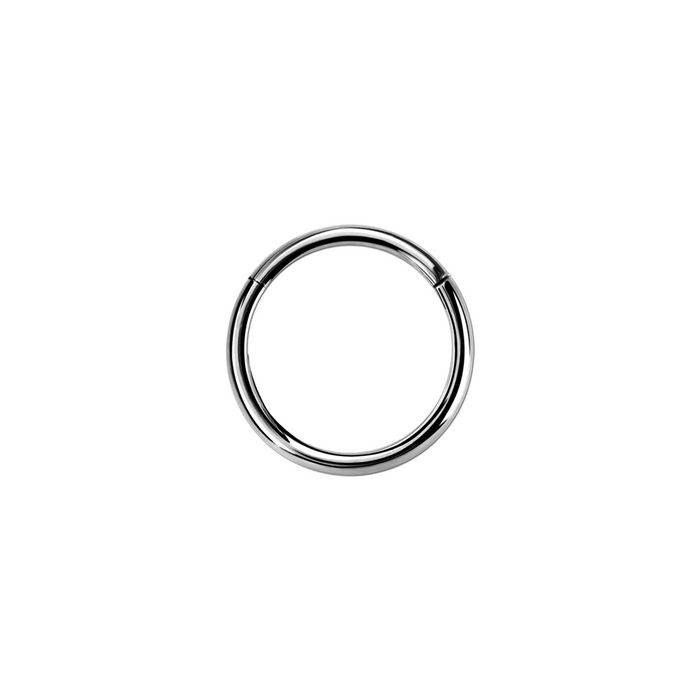 20g Silver Surgical Steel Hinged Ring 10mm / Surgical Steel / Silver Hinged Ring