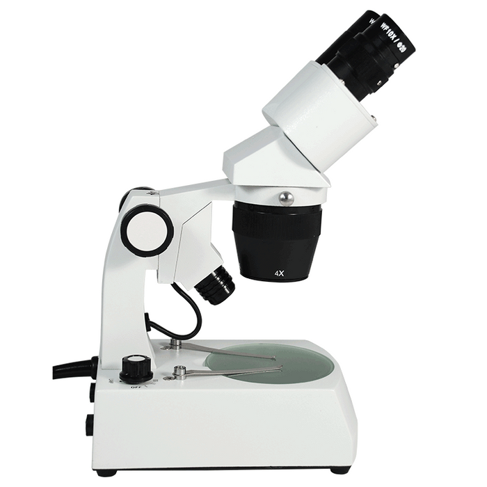 20X/40X Widefield Stereo Microscope, Binocular, Track Stand, Halogen Top and Bottom Light, Bright Field