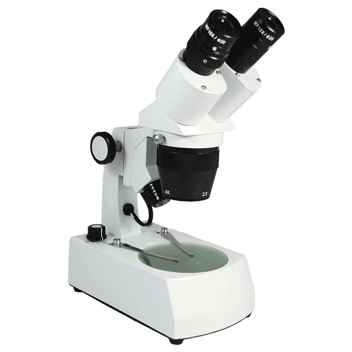 20X/40X Widefield Stereo Microscope, Binocular, Track Stand, Halogen Top and Bottom Light, Bright Field