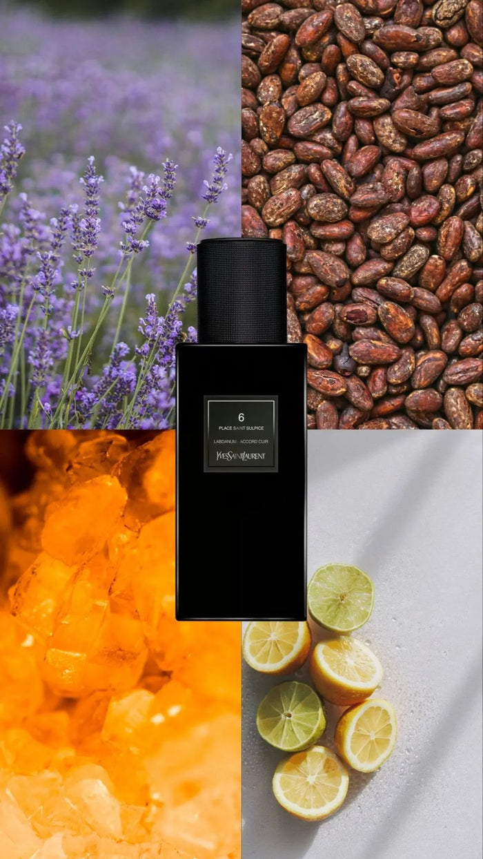 6 Place Saint Sulpice - Yves Saint Laurent - Scentora Belgique — Décant Parfum de Niche