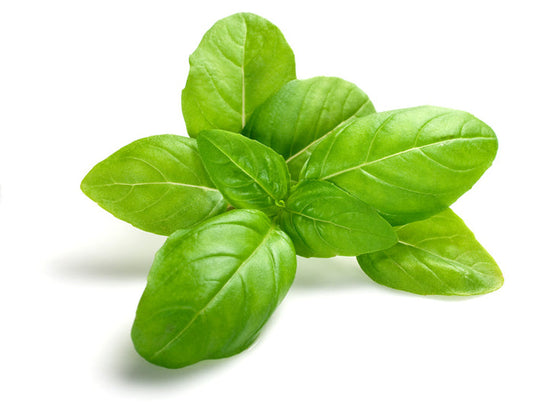 Basil essential oil 10ml - i-Spa