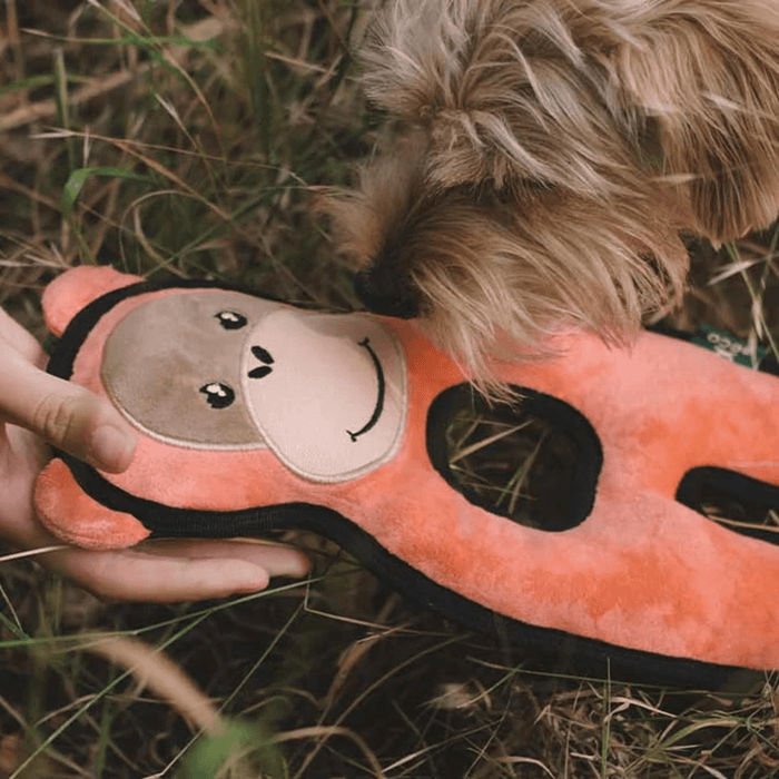BECO dog sniffing orange dog toy