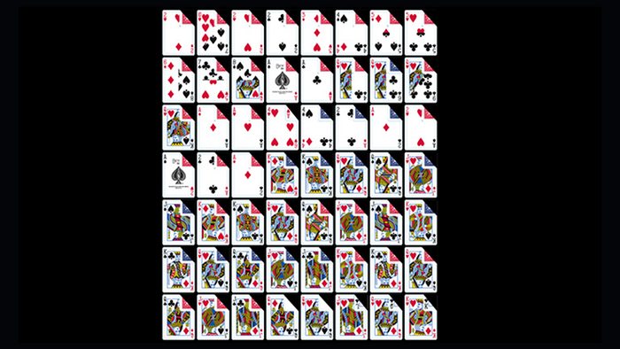Bicycle Gaff Index (Gimmicks and Online Instructions) - Make Your Own Card Tricks With Flair!