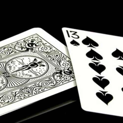 Bicycle Skull Deck - Skull Deck Regulation Playing Cards in Bicycle Card Stock- Includes 4 Bonus Cards!