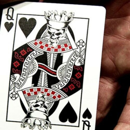 Bicycle Skull Deck - Skull Deck Regulation Playing Cards in Bicycle Card Stock- Includes 4 Bonus Cards!