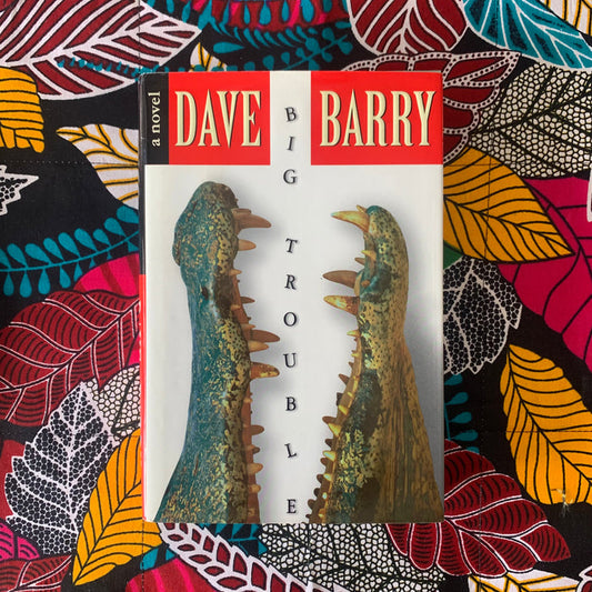 Big Trouble by Dave Berry