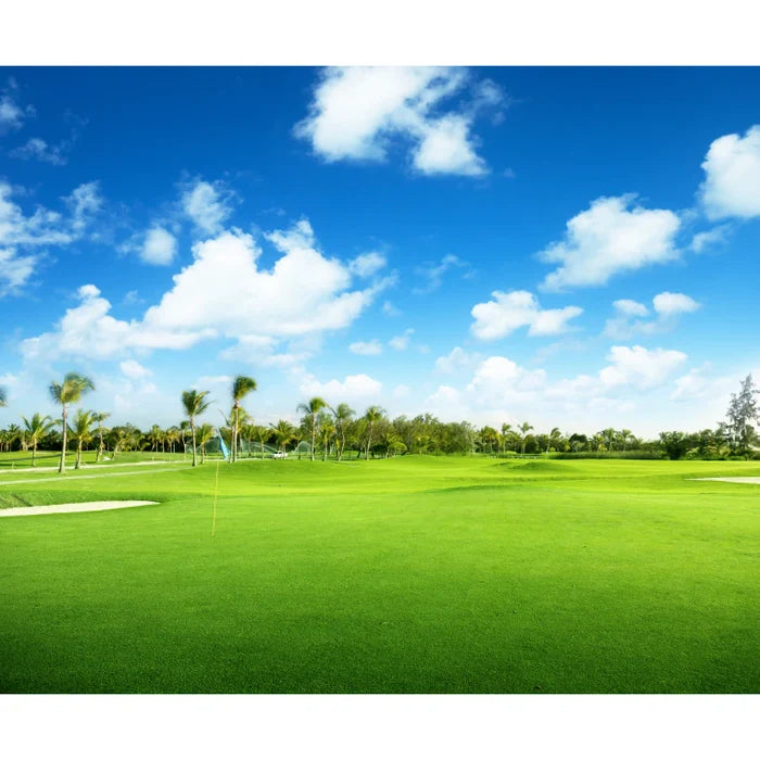 Blackjack Bermuda Grass Seed lawn with dense, dark-green seeded Bermuda turf on a sunny fairway.