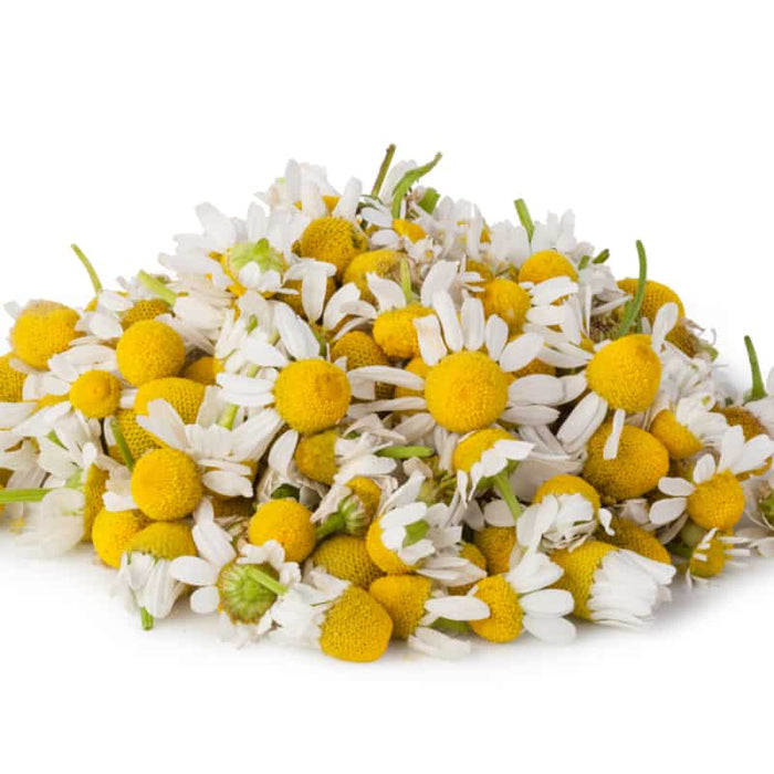Pile of fresh chamomile flowers with white petals and yellow centers symbolizing natural ingredients for Botanical Eye Makeup Remover | Privai in skincare.