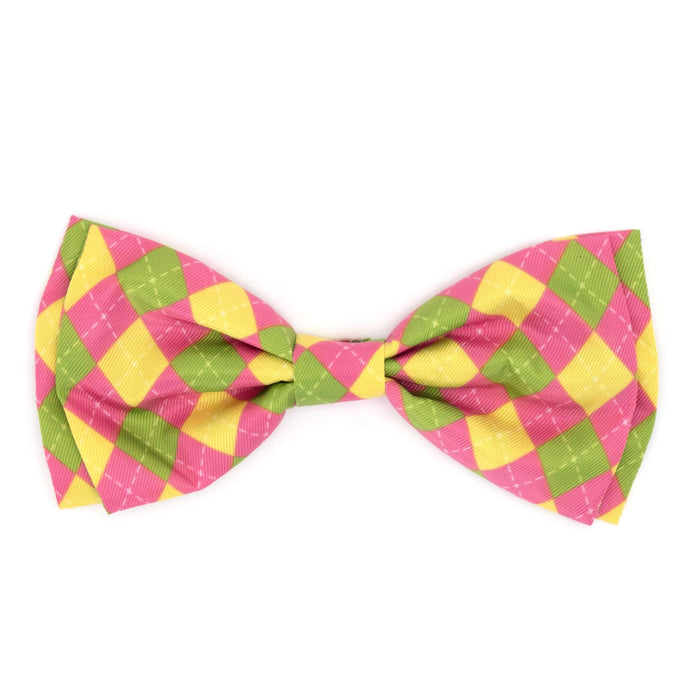 Bow Tie | Bright Pink & Green Argyle