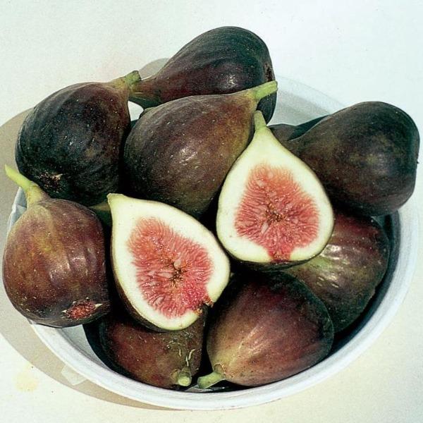 Close-up of Brown Turkey Fig fruit with brownish-purple skin and soft interior