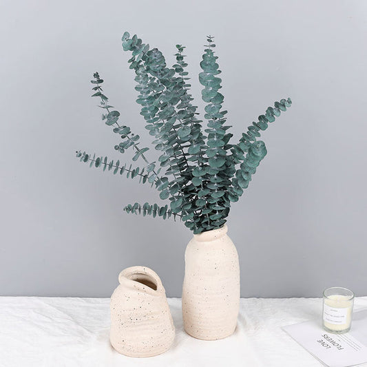 Bulk 10 Pcs Preserved Dried Eucalyptus Stems Wholesale