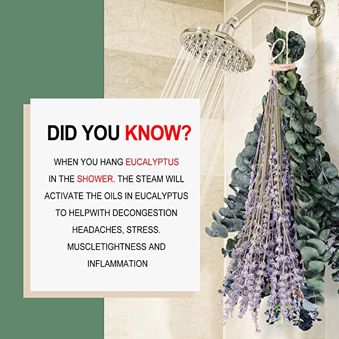Bulk 15Pcs 17" Dried Preserved Eucalyptus Stems with Lavender Flowers Bundles for Shower Wholesale