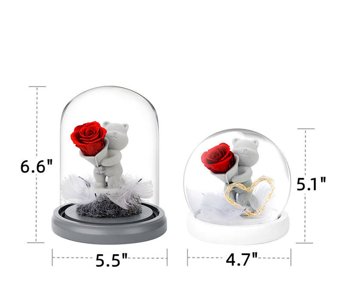 Bulk Valentine's Birthday Anniversary Gifts Preserved Rose Bear Gifts in Glass Dome Wholesale