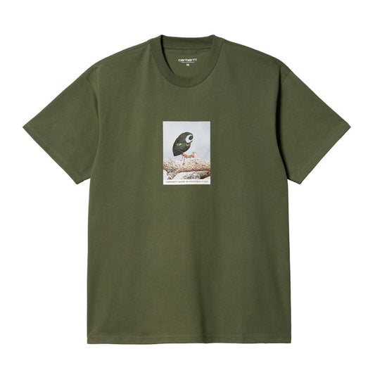 Carhartt WIP Antleaf T-Shirt Dollar Green