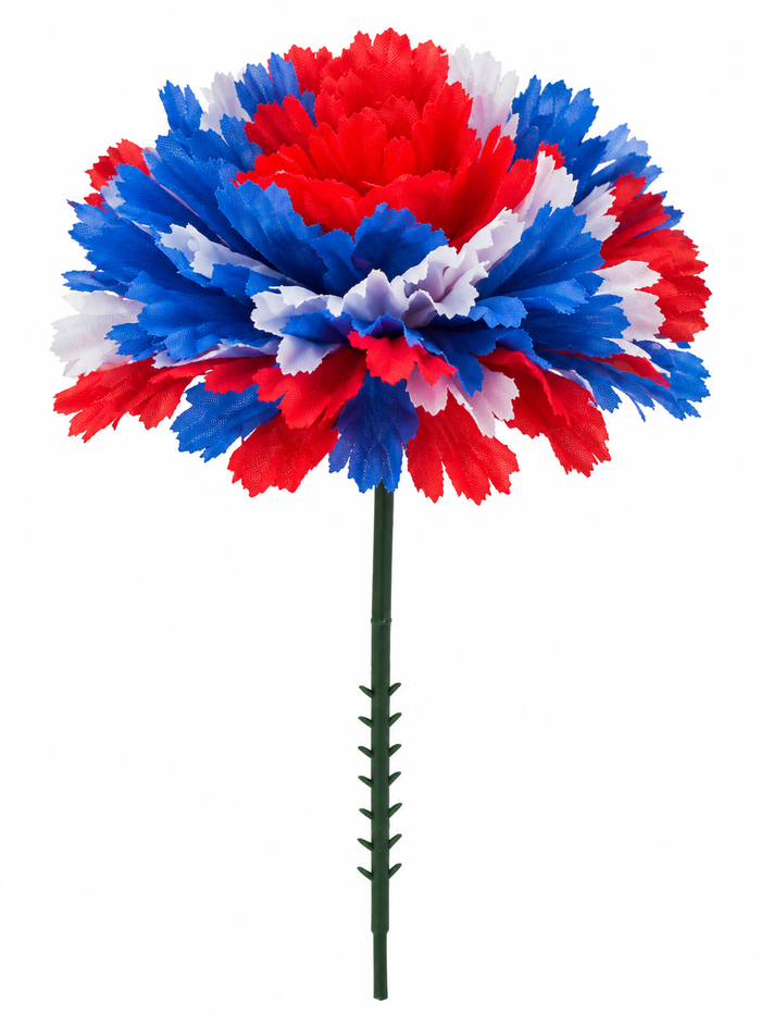 Red/White/Blue