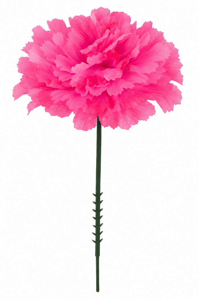 CARNATION | 100-Piece per Pack