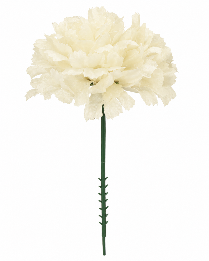 CARNATION | 100-Piece per Pack
