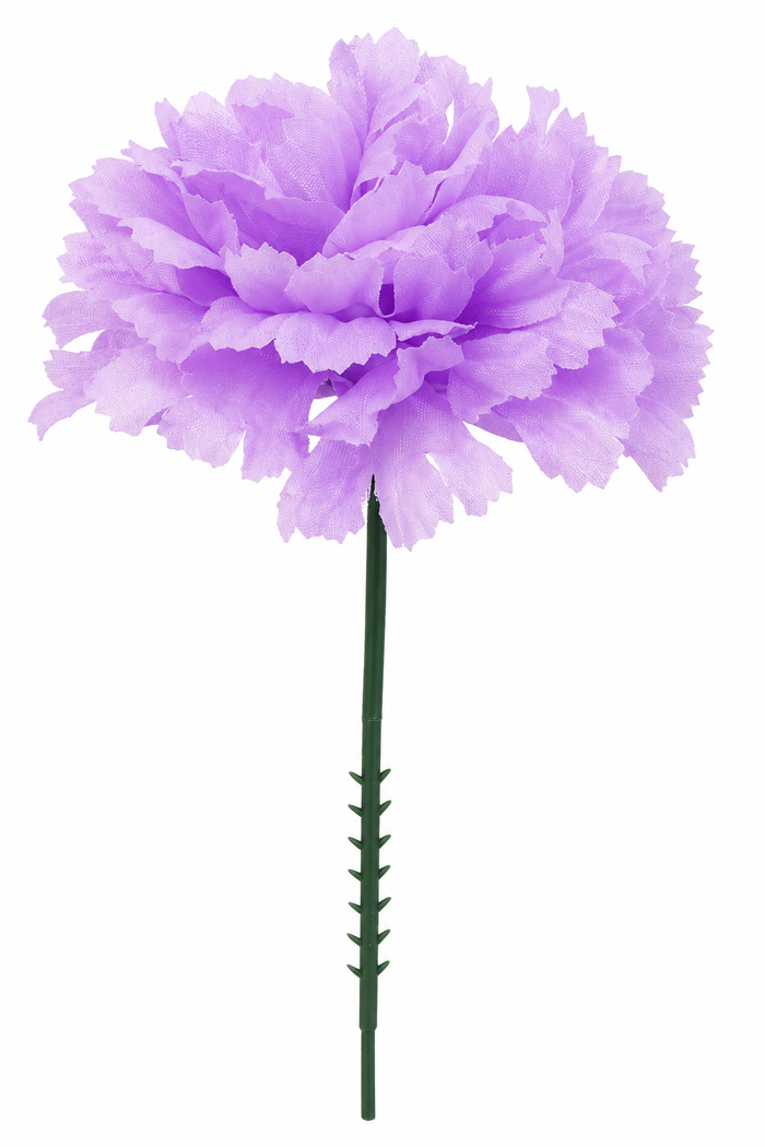 CARNATION | 100-Piece per Pack