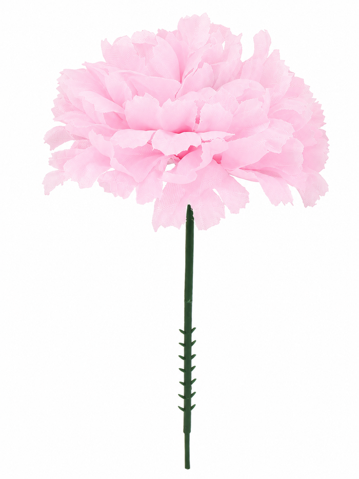 CARNATION | 100-Piece per Pack
