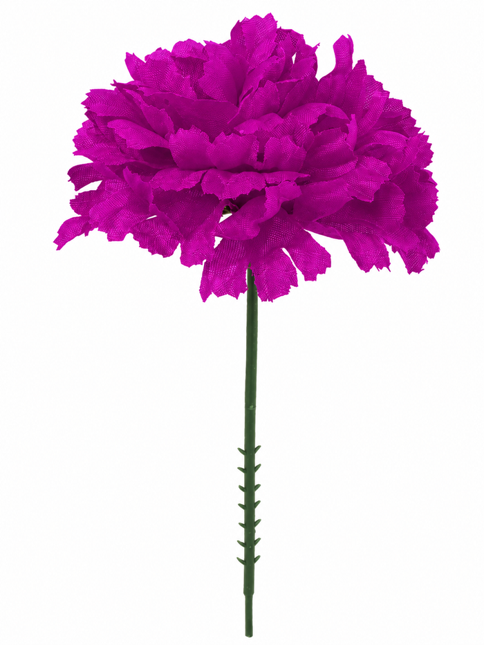 CARNATION | 100-Piece per Pack