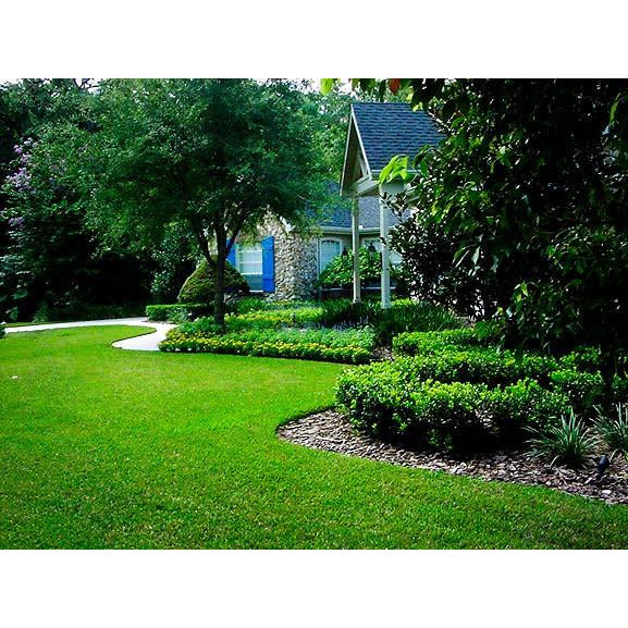 Carpetgrass Seed - Seed World