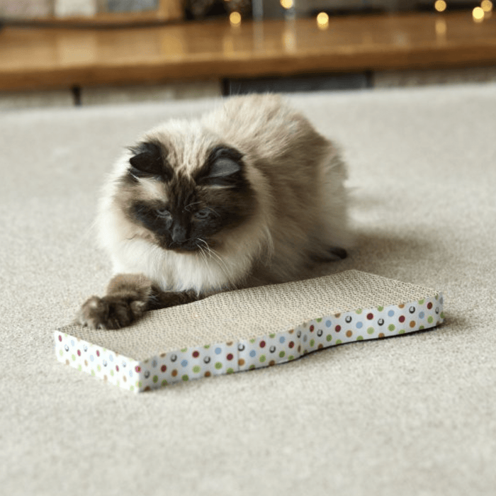 Cream coloured cat with brown points and blue eyes scratching at wave shaped corrugated cardboard scratcher with spotty details around the outside.