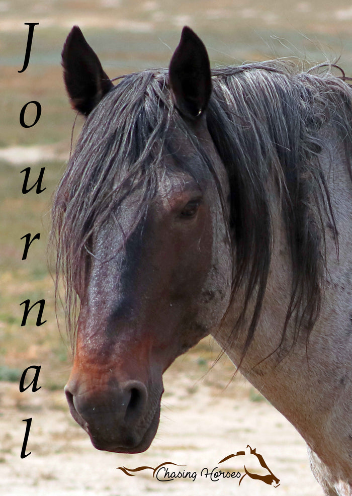 Chasing Horses Journals