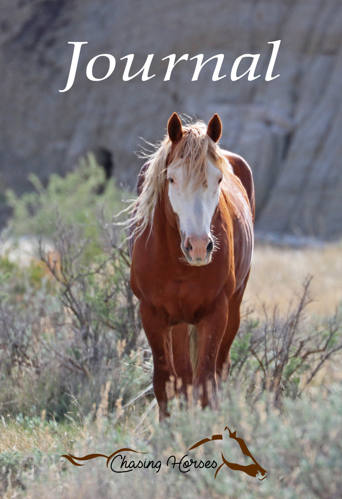 Yoakum / 150 pages soft cover