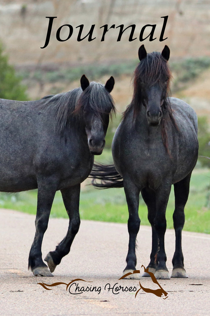 Chasing Horses Journals