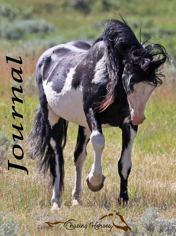 Chasing Horses Journals