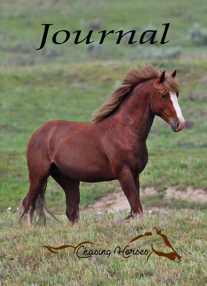 Chasing Horses Journals