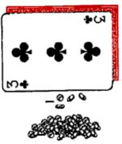 Coin Card by Danny Archer - Produce Coins From Cards and End in a Matrix Routine