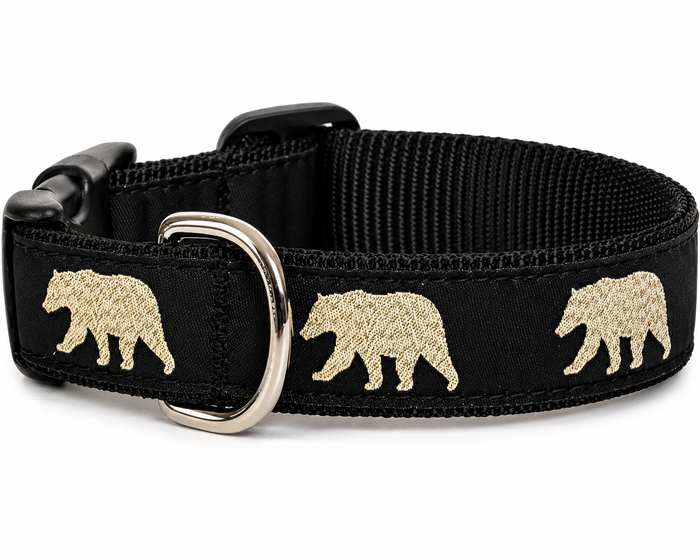 Collar | Glitter Bear