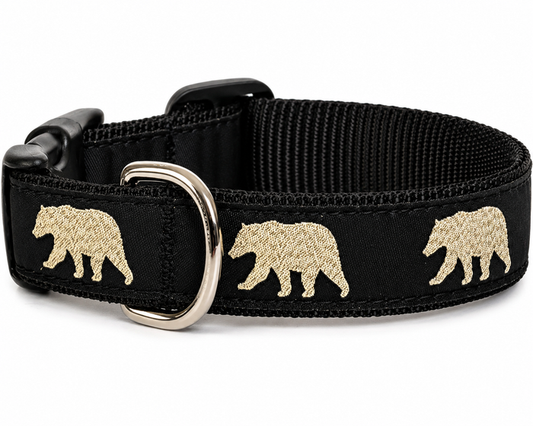 Collar | Glitter Bear